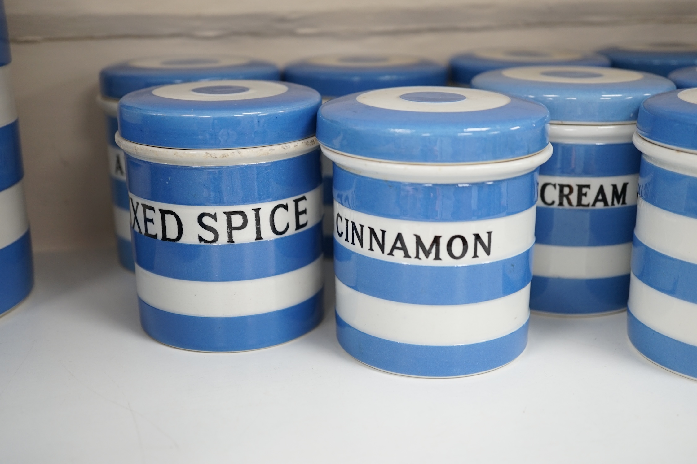 T.G.Green Cornish Kitchenware, thirteen 8.5cm lidded storage jars to include Ginger, Caraway-Seeds, Cream of Tartar, Cinnamon, Spice and Cloves, Black Shield marks, (lacks one lid and one a.f.) Condition - poor, fair and
